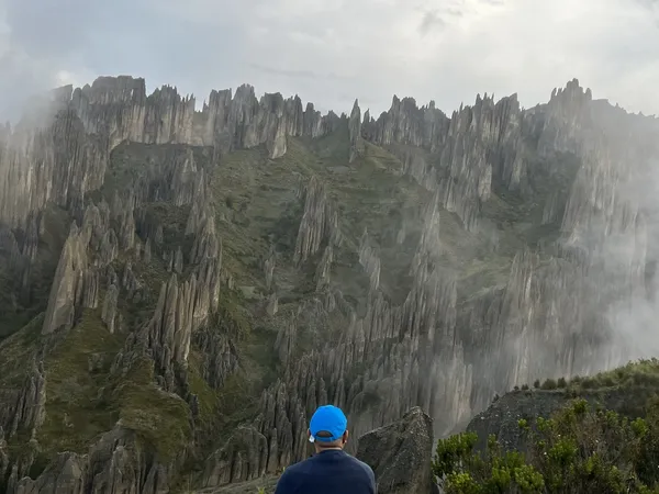 A traveler walking among the spires of Valle de las Ánimas in the mist